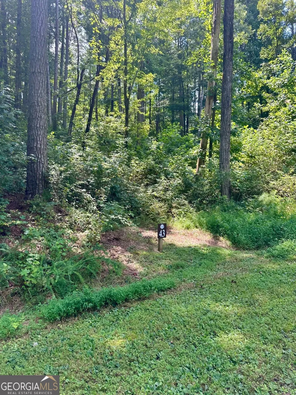 LT 43 Hilton DR Ellijay, GA 30540