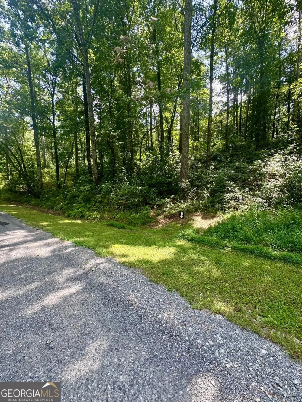 LT 43 Hilton DR Ellijay, GA 30540