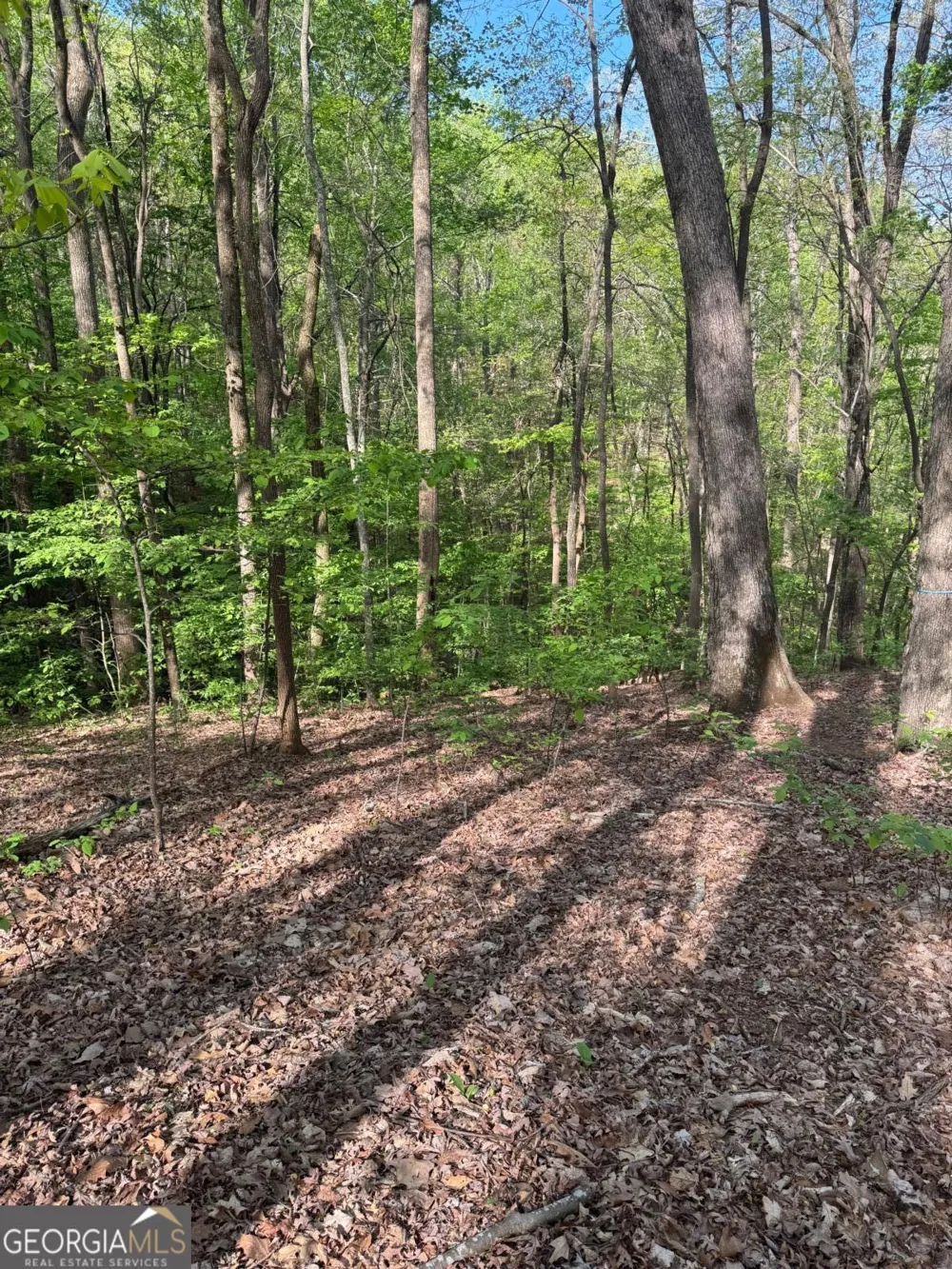 0 Mountain View CT Ellijay, GA 30536