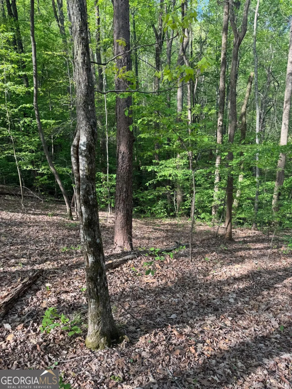0 Mountain View CT Ellijay, GA 30536