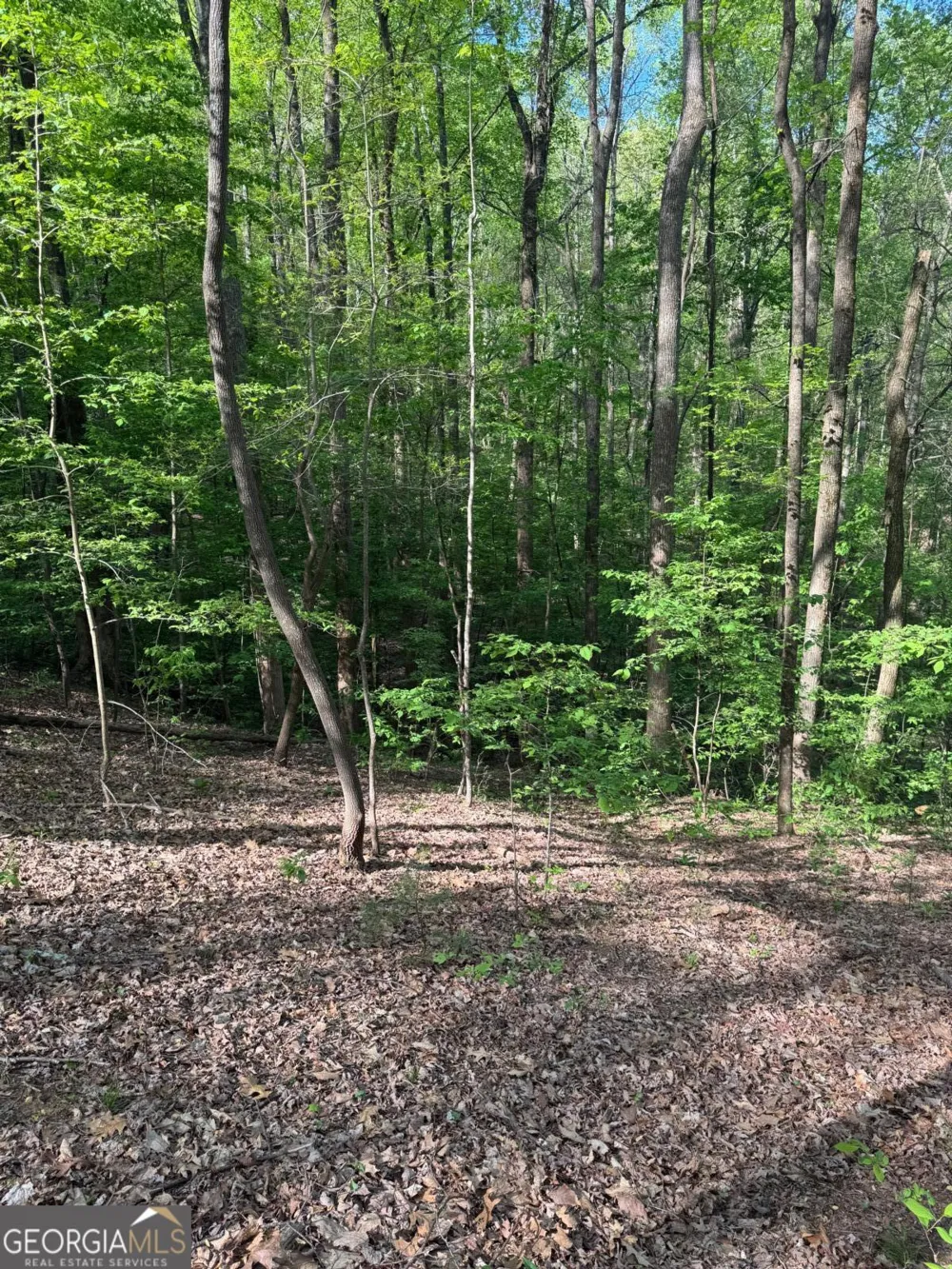 0 Mountain View CT Ellijay, GA 30536