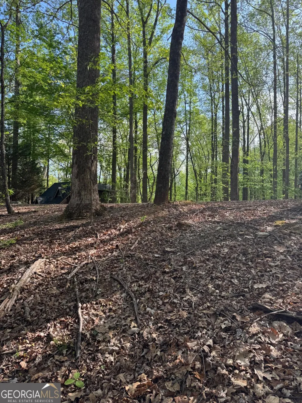 0 Mountain View CT Ellijay, GA 30536