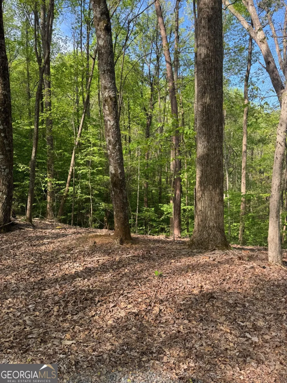 0 Mountain View CT Ellijay, GA 30536