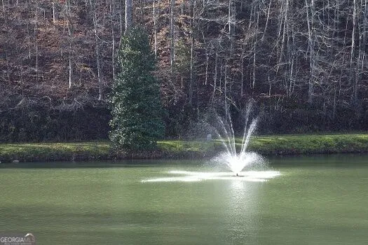 400 Matrix CIR Ellijay, GA 30540