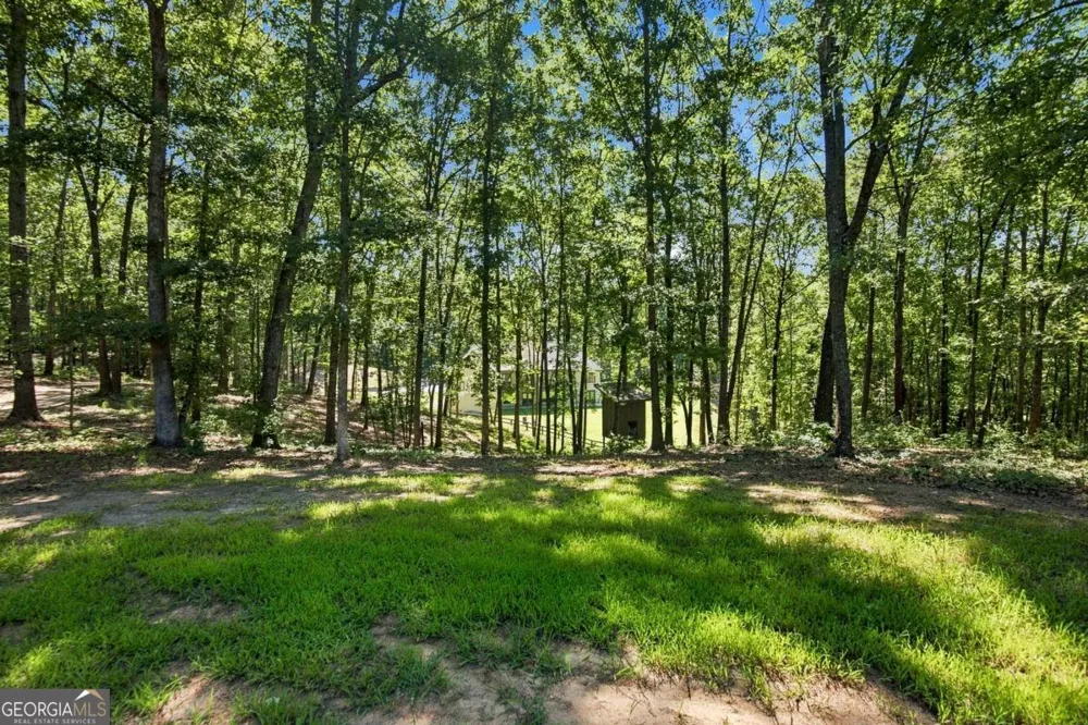 221 Brookhollow RD Ball Ground, GA 30107
