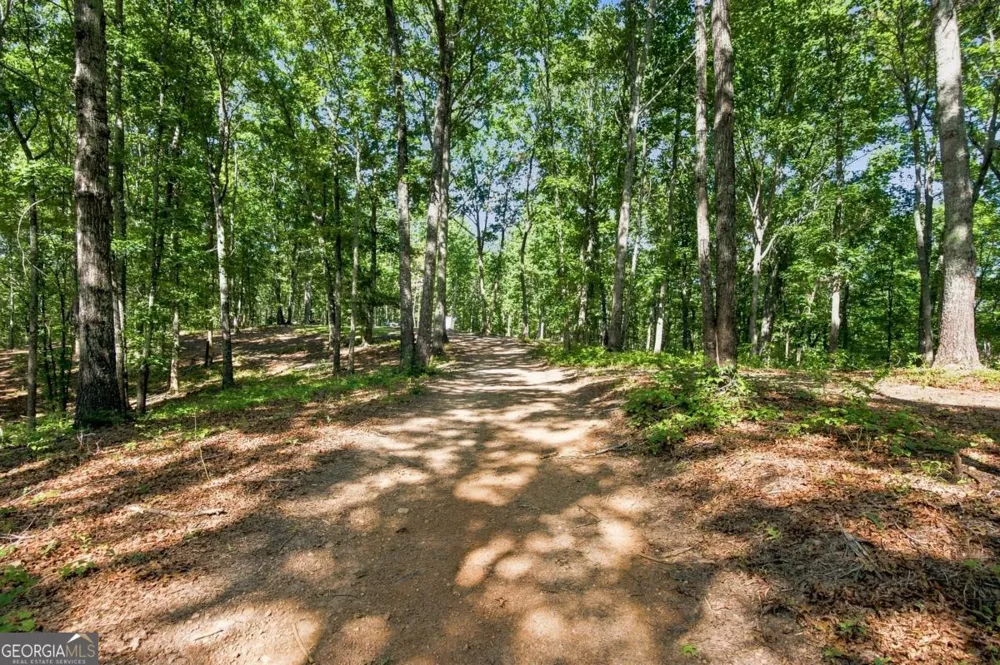 221 Brookhollow RD Ball Ground, GA 30107
