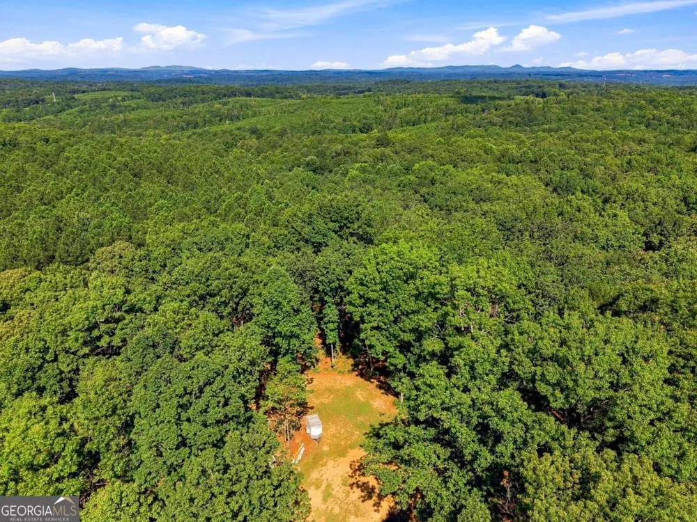 221 Brookhollow RD Ball Ground, GA 30107