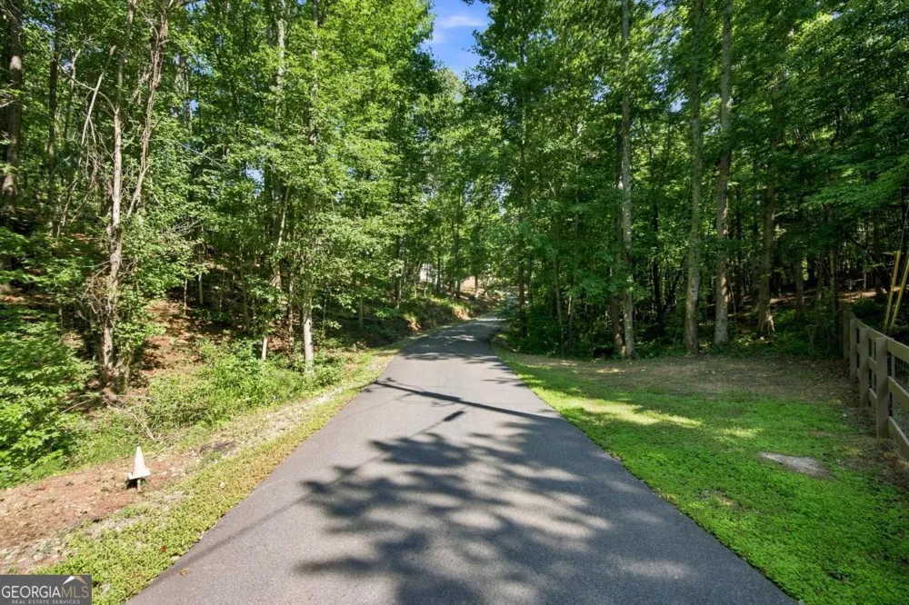 221 Brookhollow RD Ball Ground, GA 30107