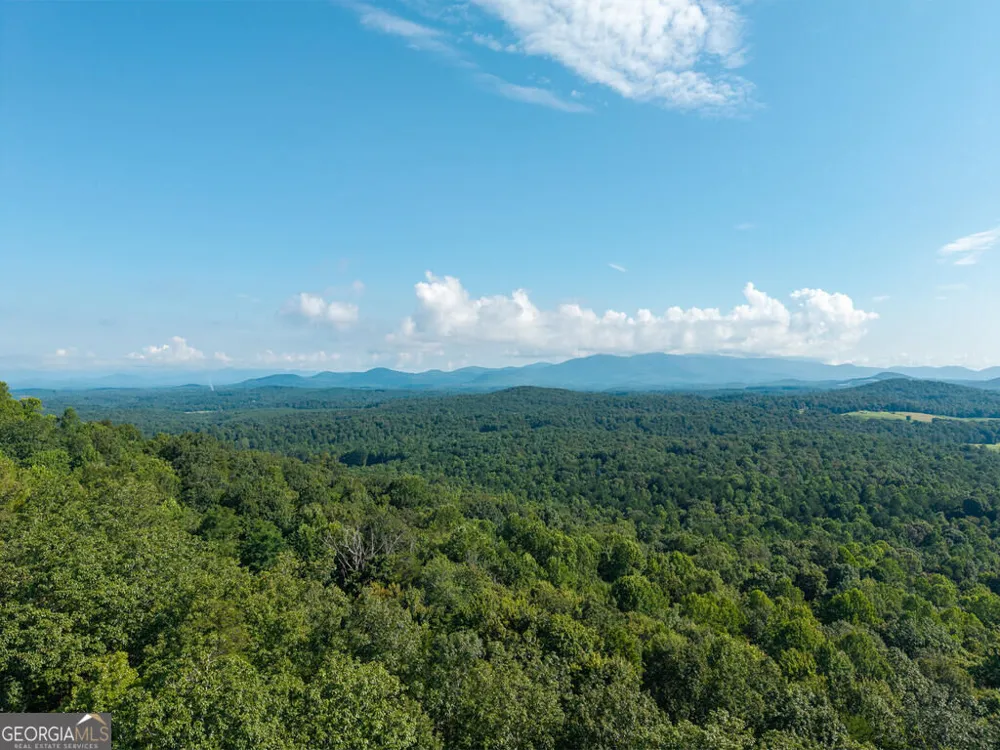 156 Sky High DR Ellijay, GA 30536