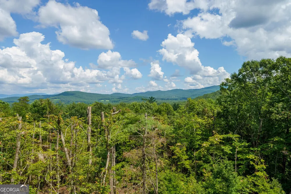 156 Sky High DR Ellijay, GA 30536