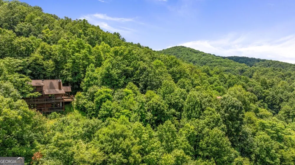 469 Mountain High DR Mineral Bluff, GA 30559