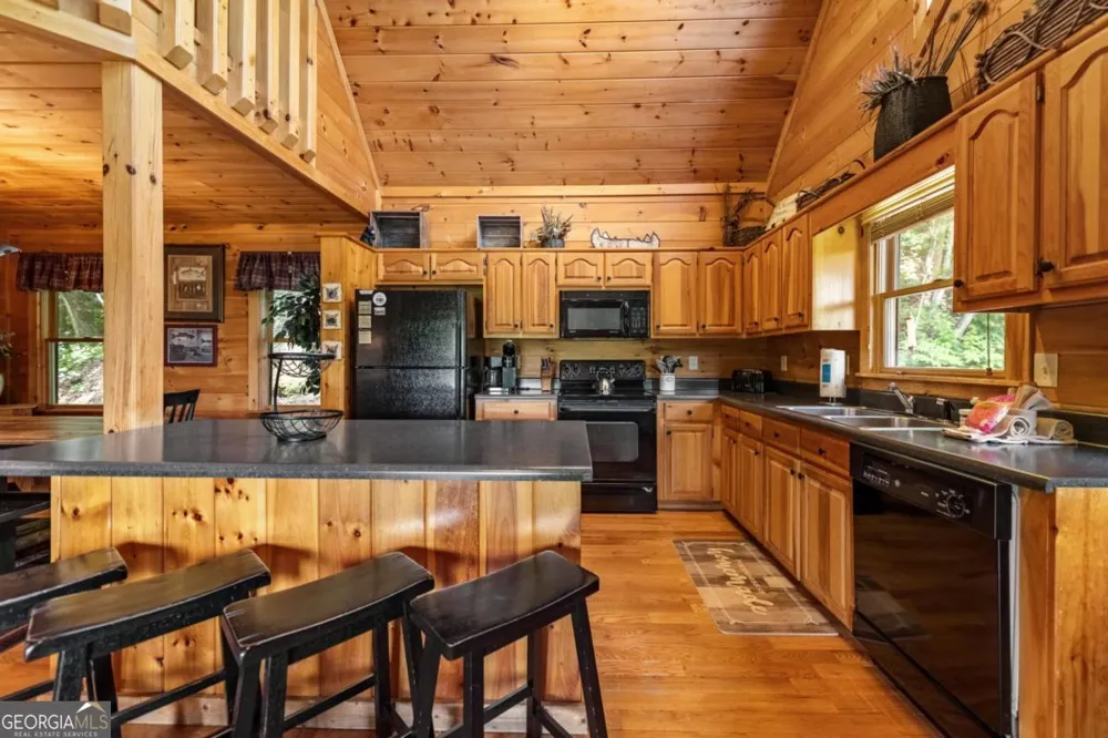 469 Mountain High DR Mineral Bluff, GA 30559