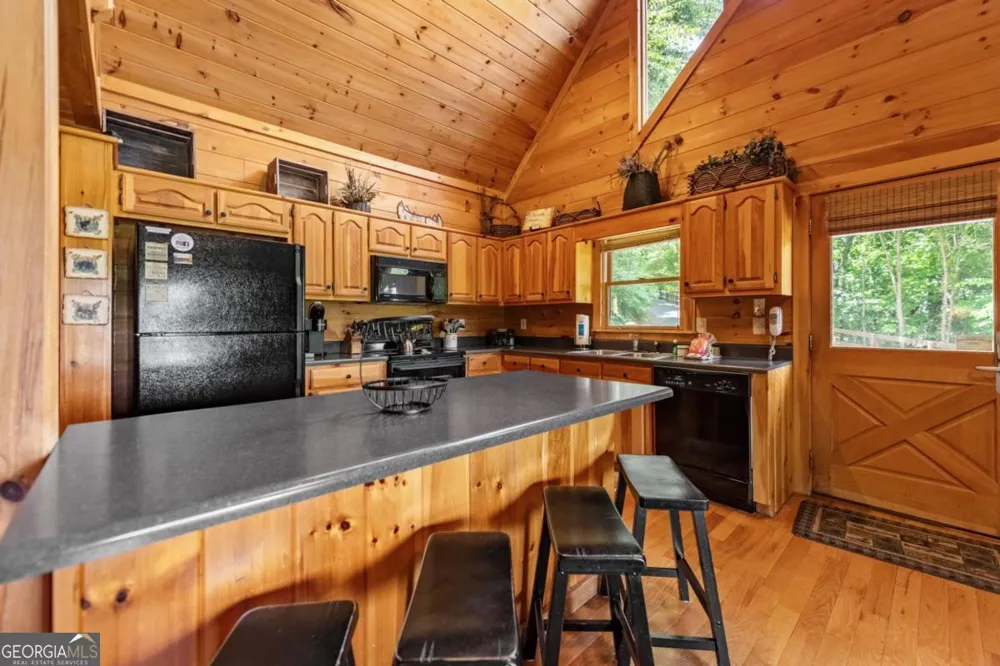 469 Mountain High DR Mineral Bluff, GA 30559