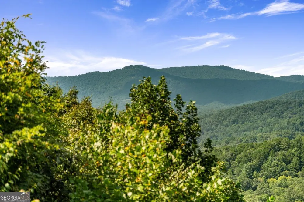 469 Mountain High DR Mineral Bluff, GA 30559
