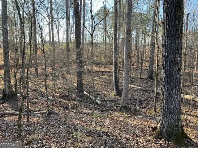 352 Woodville Philomath RD Rayle, GA 30660