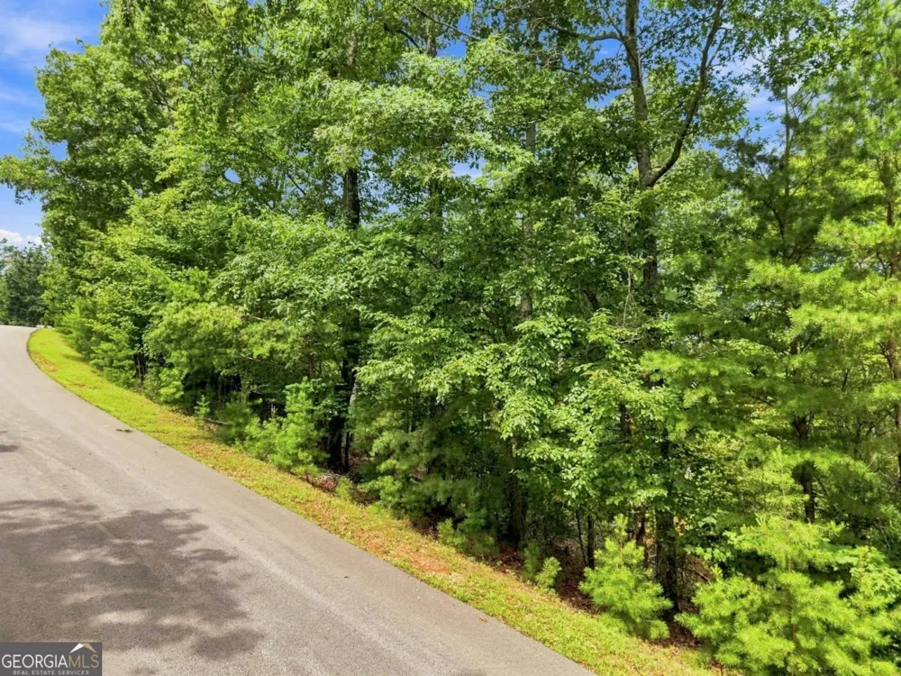 0 Deer Crest RD Blue Ridge, GA 30513