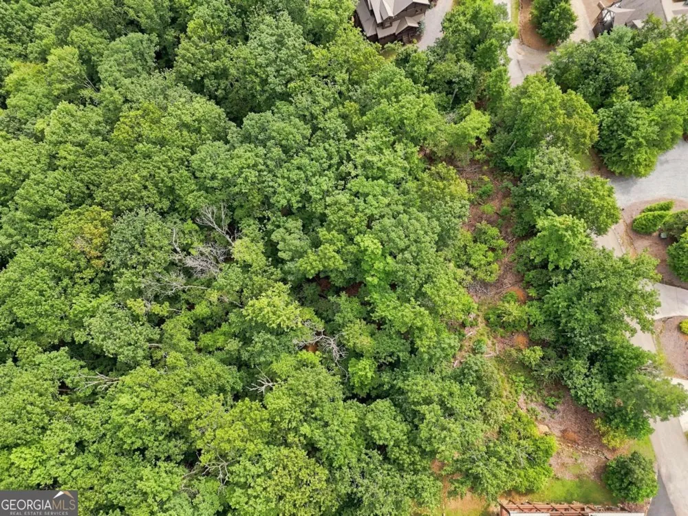 0 Deer Crest RD Blue Ridge, GA 30513