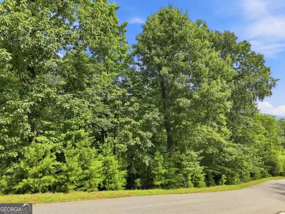 0 Deer Crest RD Blue Ridge, GA 30513