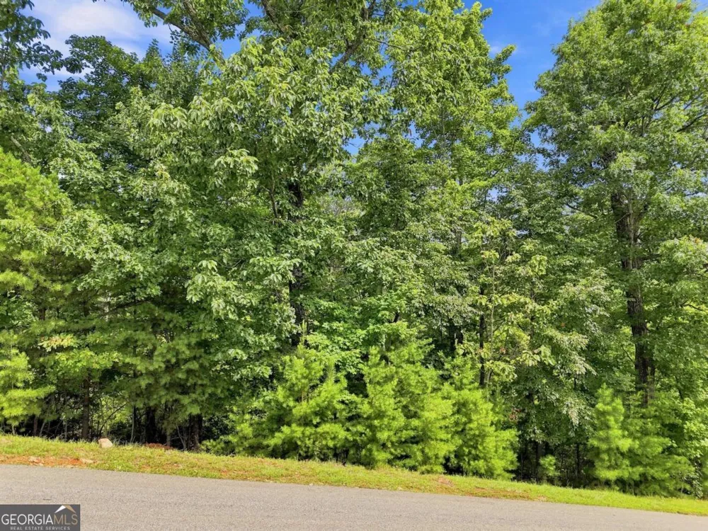 0 Deer Crest RD Blue Ridge, GA 30513