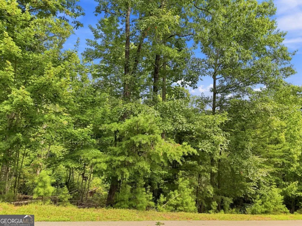 0 Deer Crest RD Blue Ridge, GA 30513