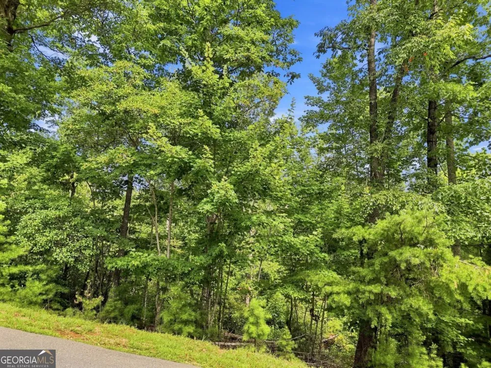 0 Deer Crest RD Blue Ridge, GA 30513