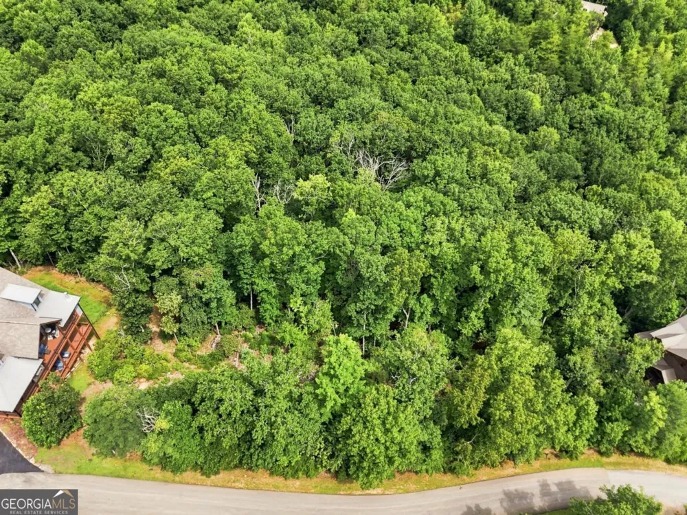 0 Deer Crest RD Blue Ridge, GA 30513