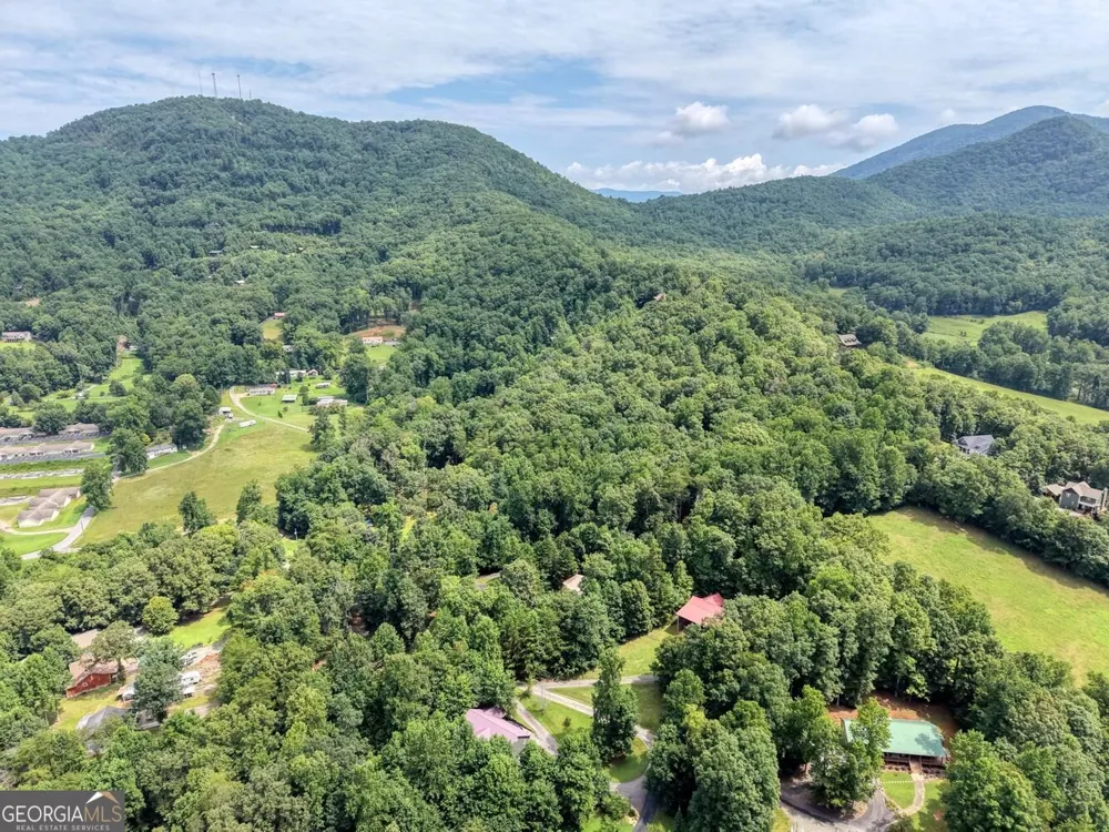 557 Grayce LN Hiawassee, GA 30546