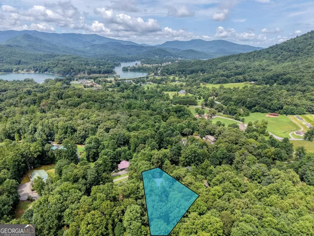 557 Grayce LN Hiawassee, GA 30546