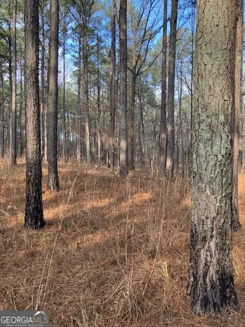 280 Woodville Philomath RD Rayle, GA 30660