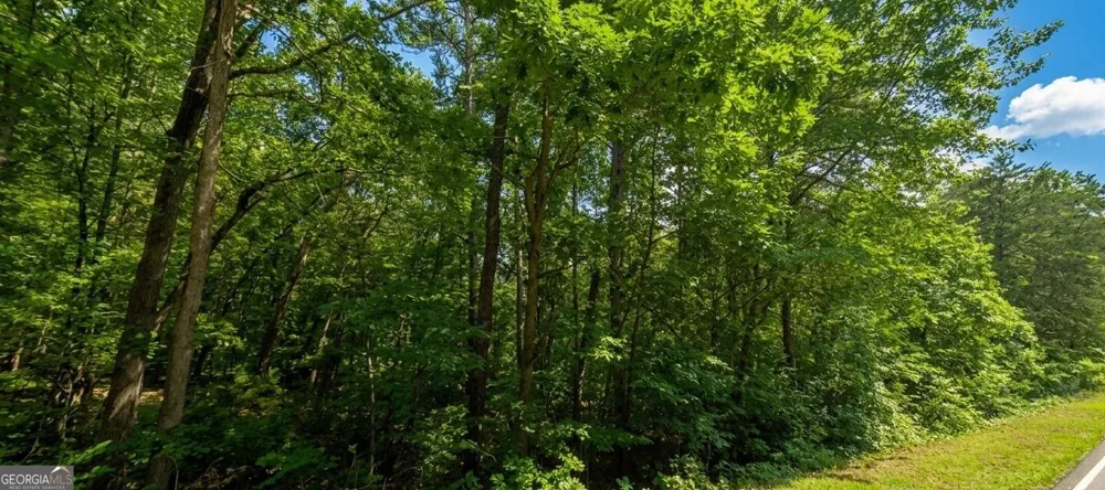 0 Ridgemore Circle Toccoa, GA 30577