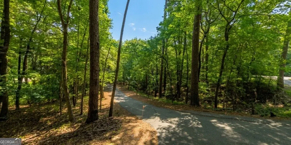 0 Ridgemore Circle Toccoa, GA 30577