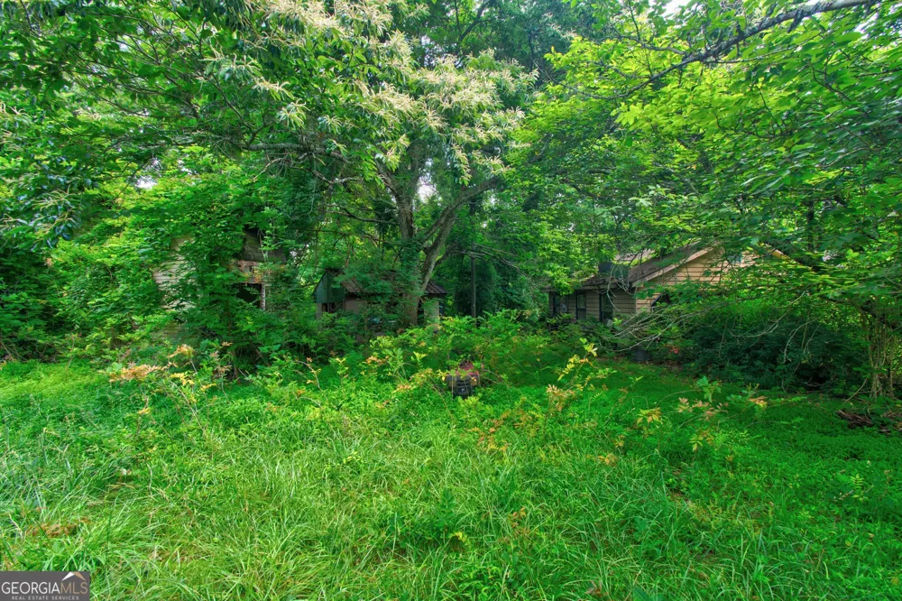 6439 S Chestatee ST Dahlonega, GA 30533