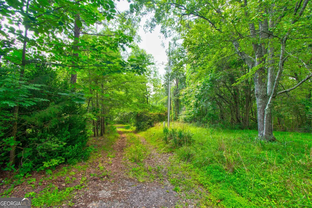 6439 S Chestatee ST Dahlonega, GA 30533