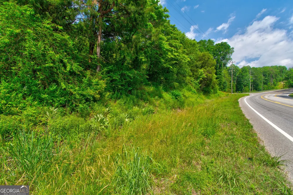 6439 S Chestatee ST Dahlonega, GA 30533