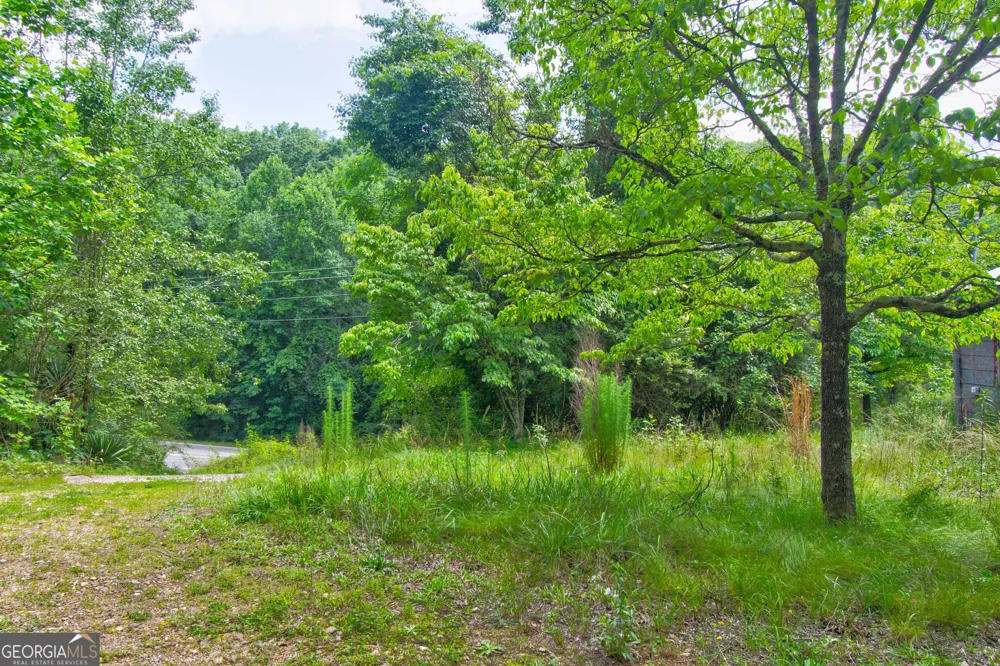 6439 S Chestatee ST Dahlonega, GA 30533
