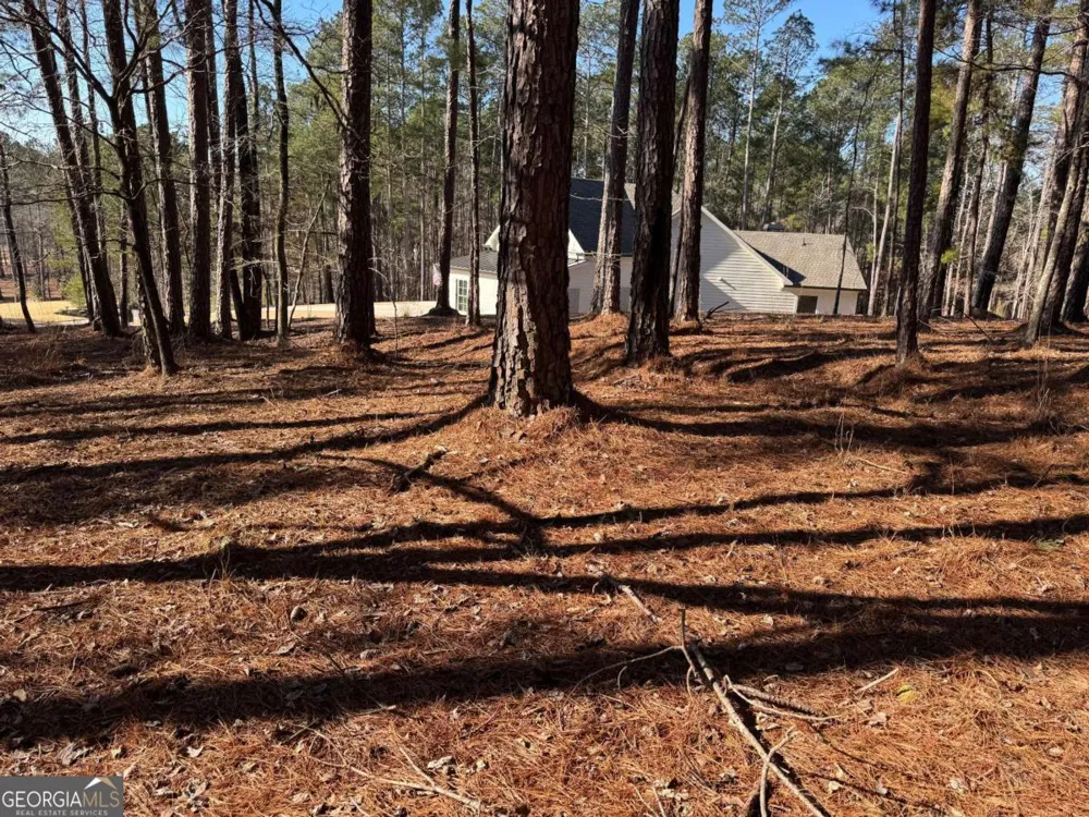 1060 Forrest Highlands Greensboro, GA 30642