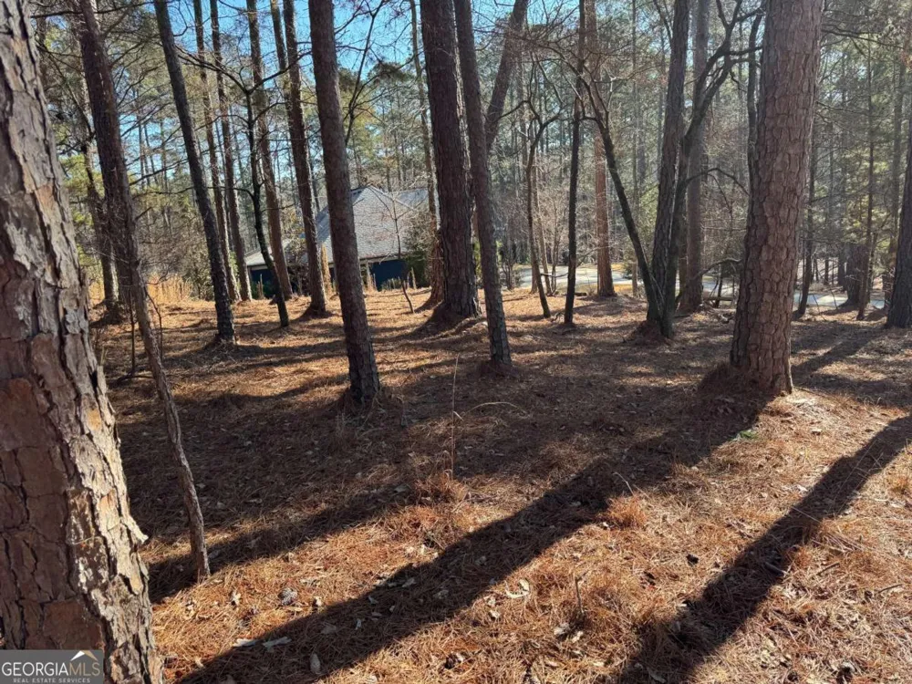 1060 Forrest Highlands Greensboro, GA 30642