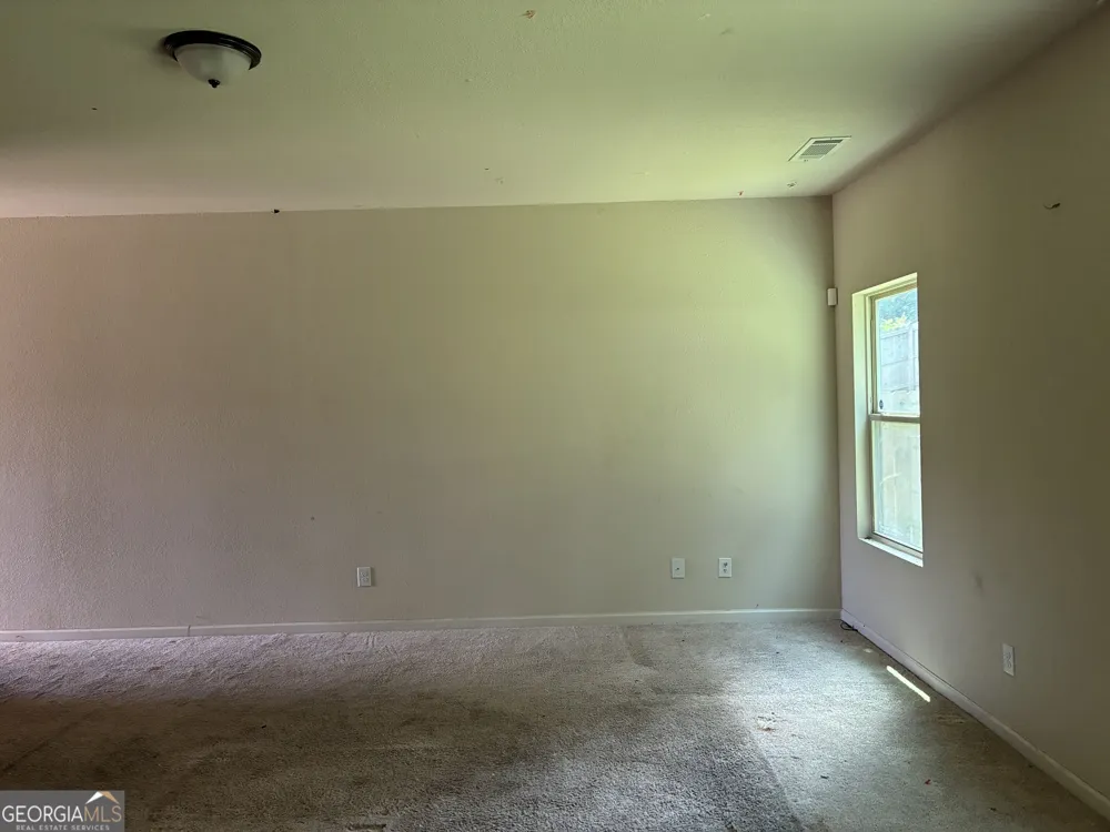 10990 Wheeler TRCE Hampton, GA 30228