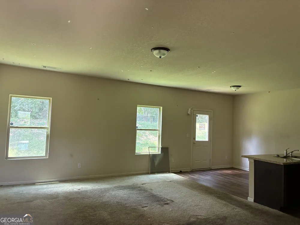 10990 Wheeler TRCE Hampton, GA 30228