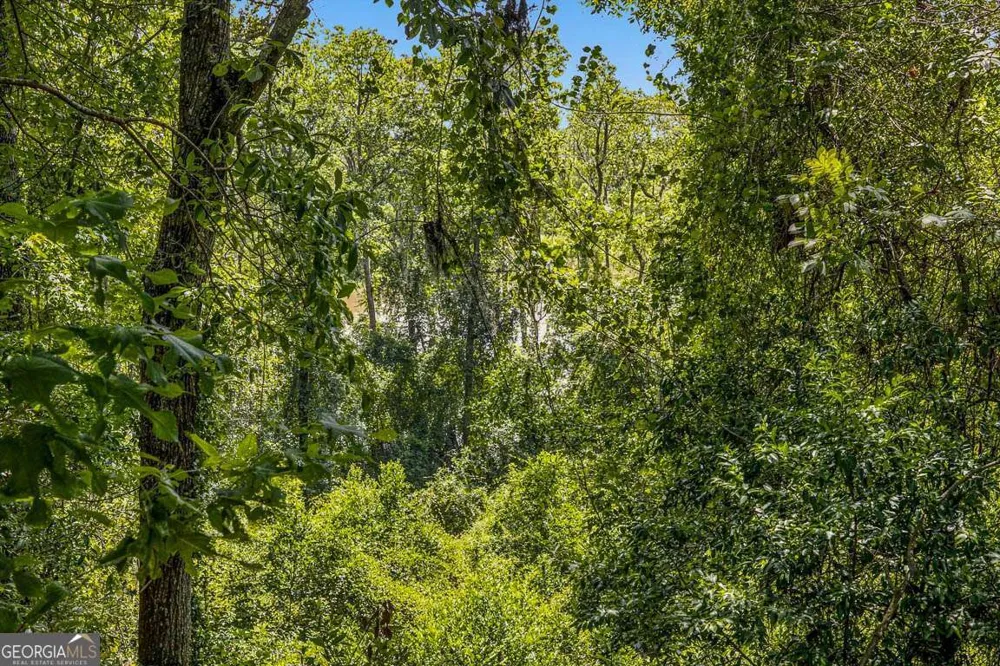 714 Altamaha RD Jesup, GA 31545