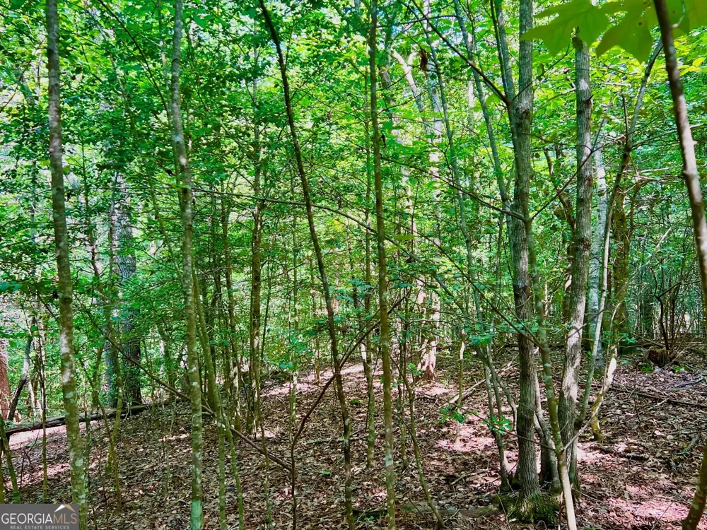 TRACK 2 Afton RD Dawsonville, GA 30534
