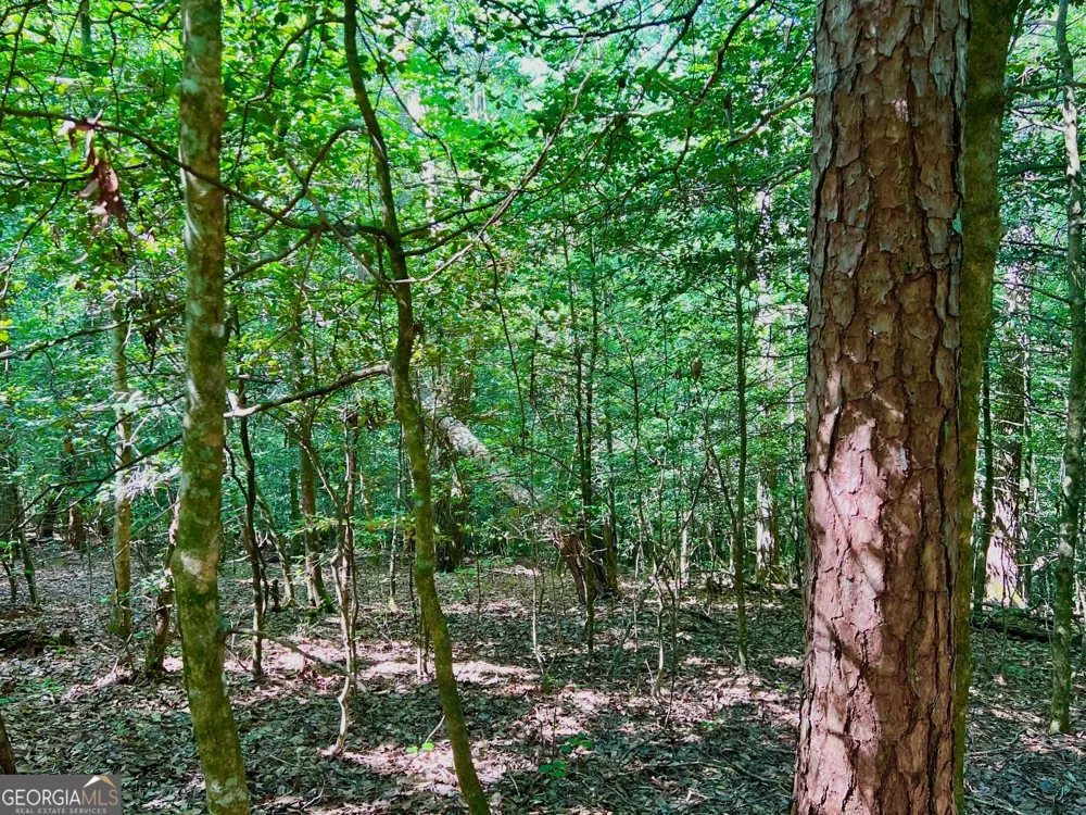 TRACK 2 Afton RD Dawsonville, GA 30534