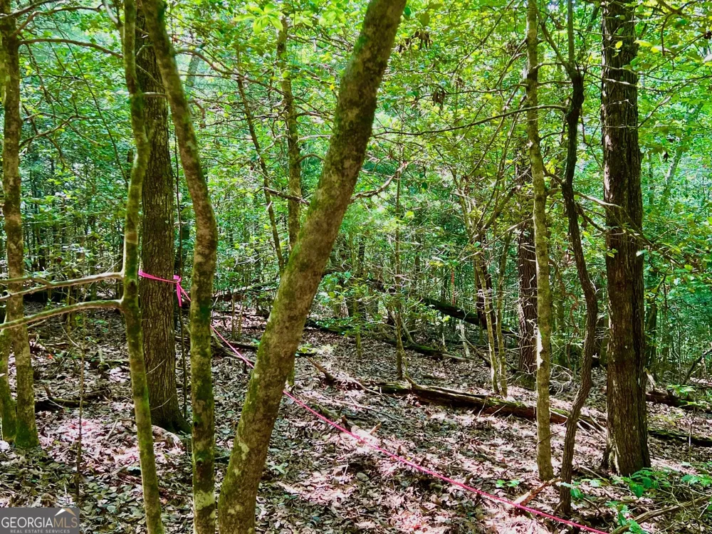 TRACK 2 Afton RD Dawsonville, GA 30534