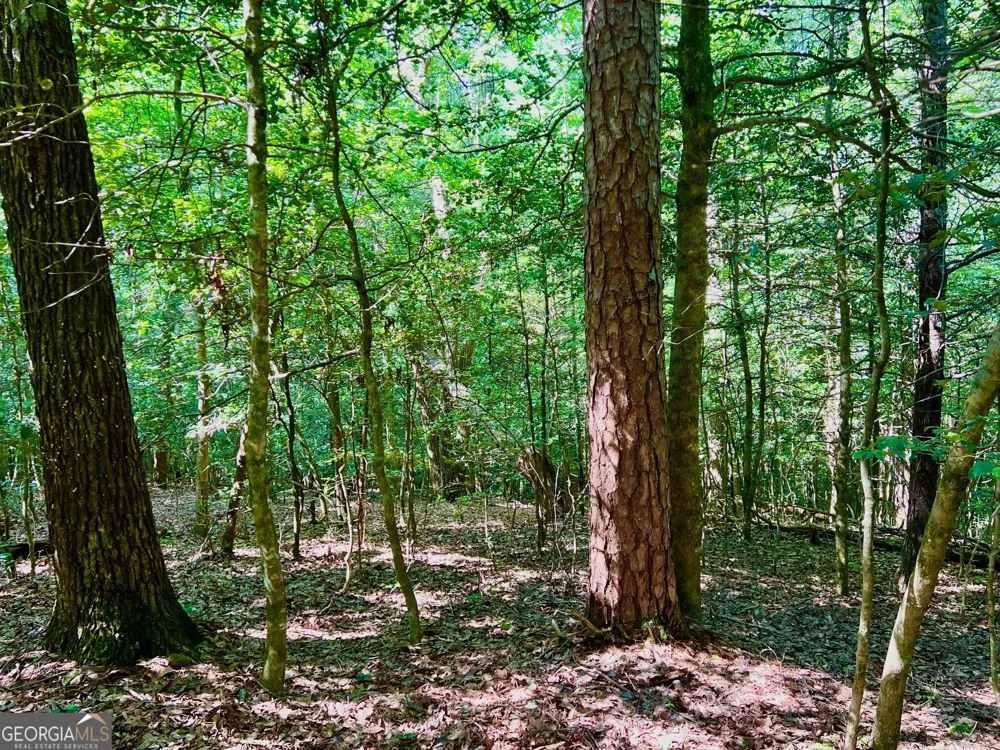 TRACK 2 Afton RD Dawsonville, GA 30534