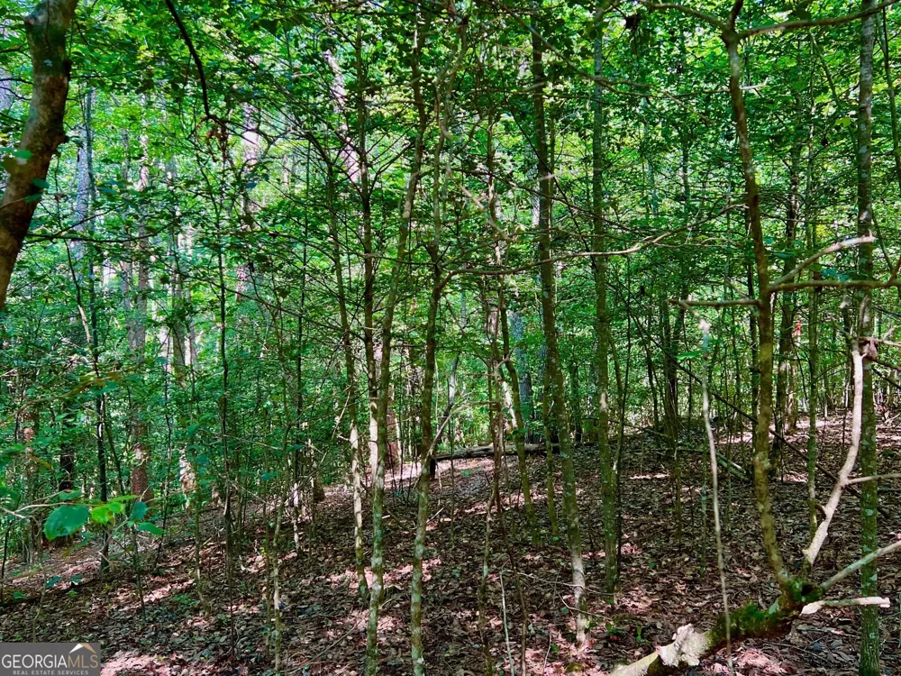 TRACK 2 Afton RD Dawsonville, GA 30534