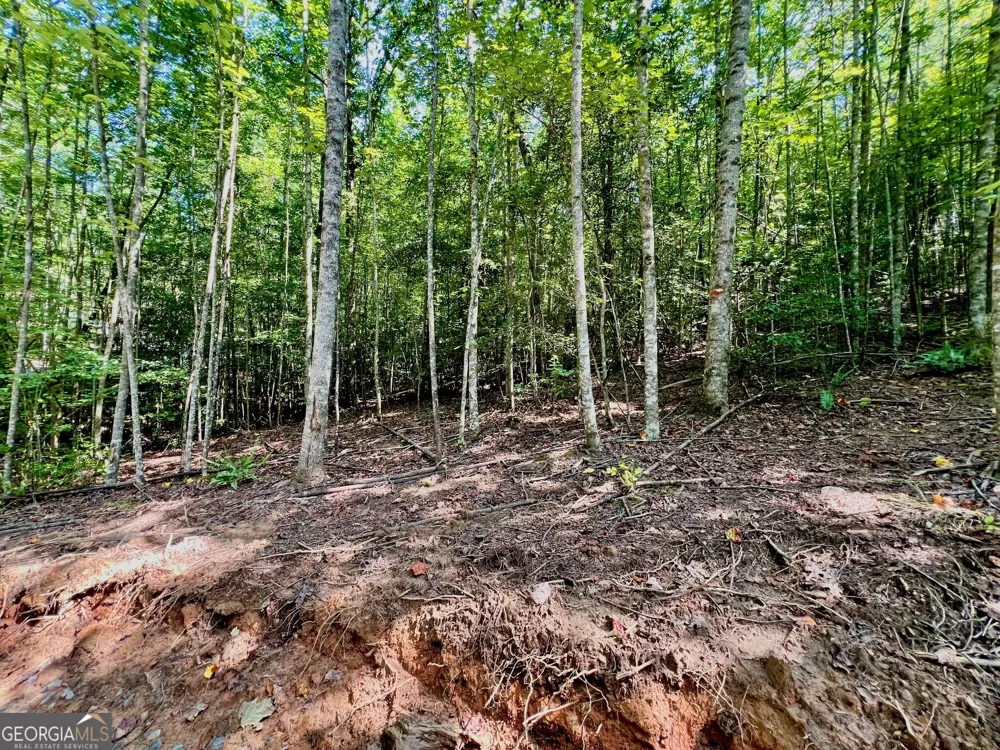 TRACK 2 Afton RD Dawsonville, GA 30534
