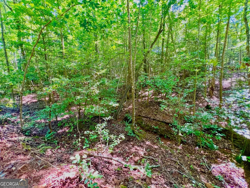 TRACK 2 Afton RD Dawsonville, GA 30534