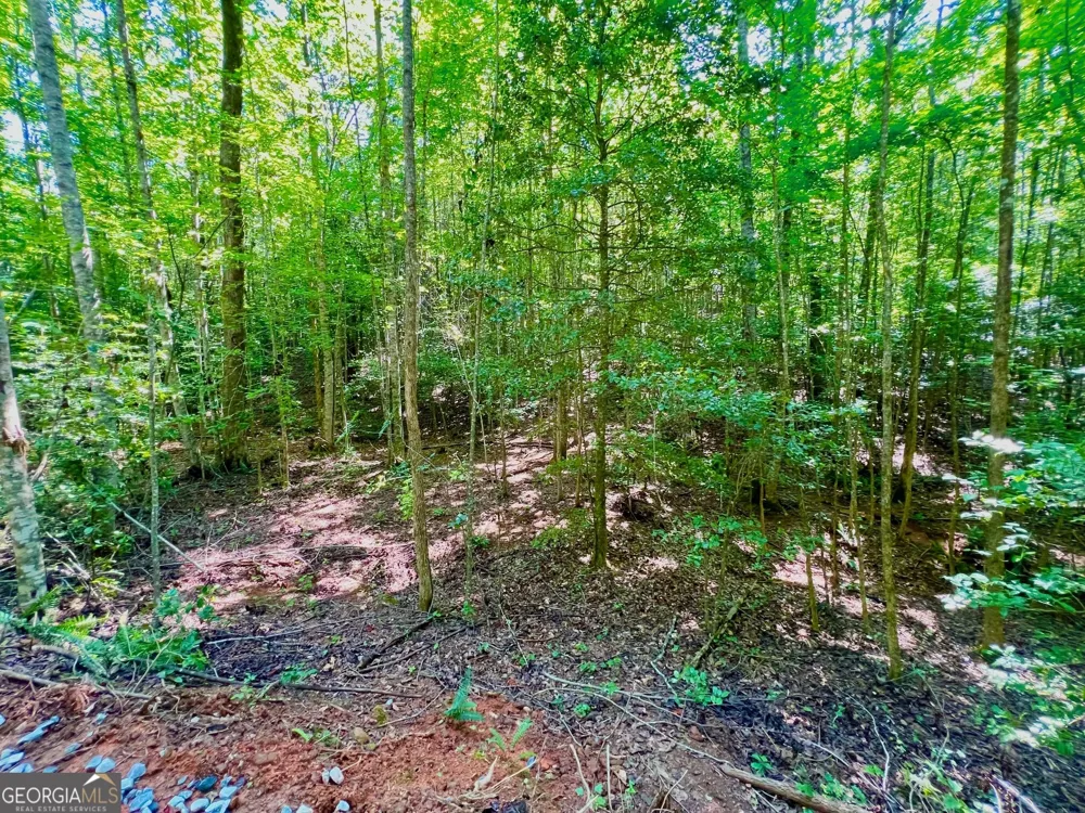 TRACK 2 Afton RD Dawsonville, GA 30534