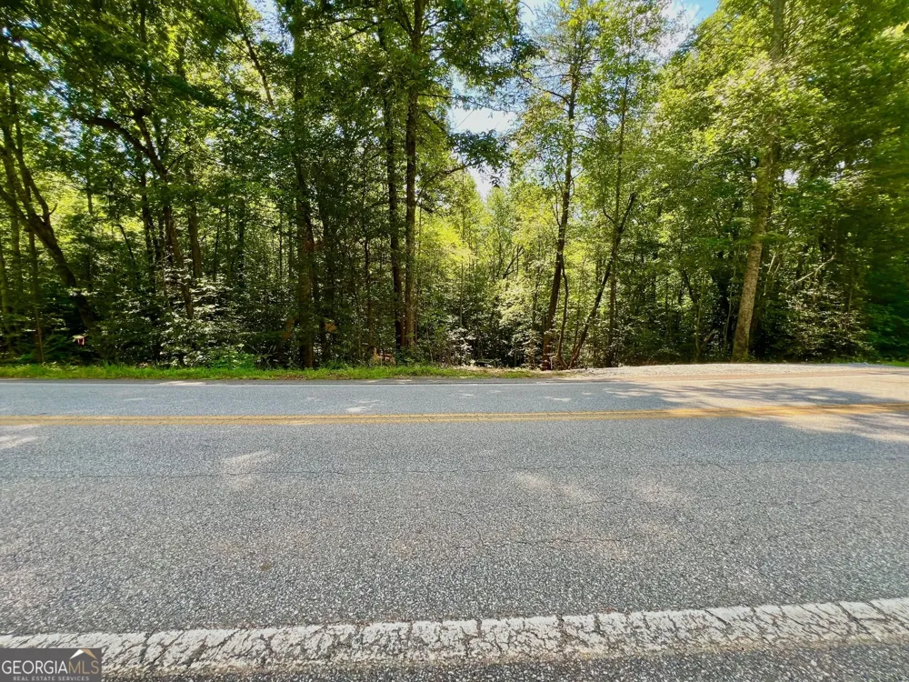 TRACK 2 Afton RD Dawsonville, GA 30534