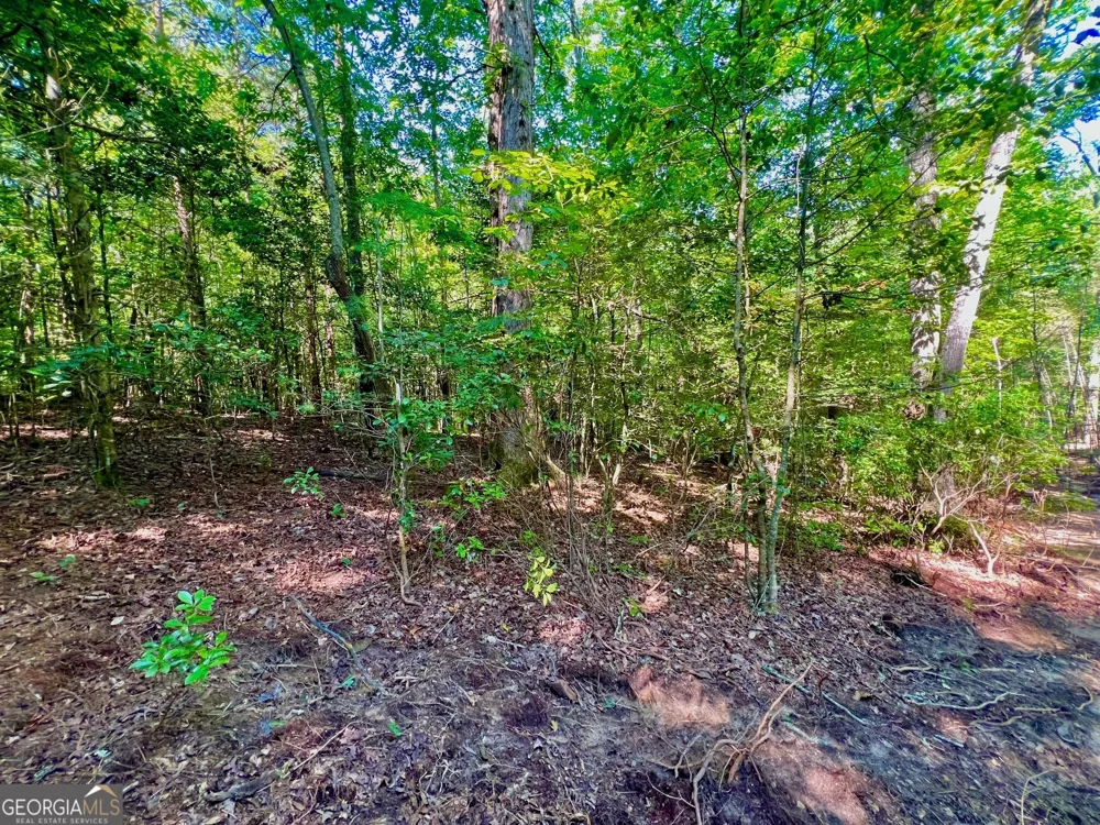 TRACK 2 Afton RD Dawsonville, GA 30534